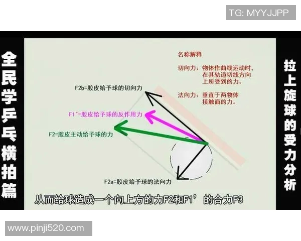 广州乒乓球队状态分析与展望聚焦训练成果与比赛表现的全面解读