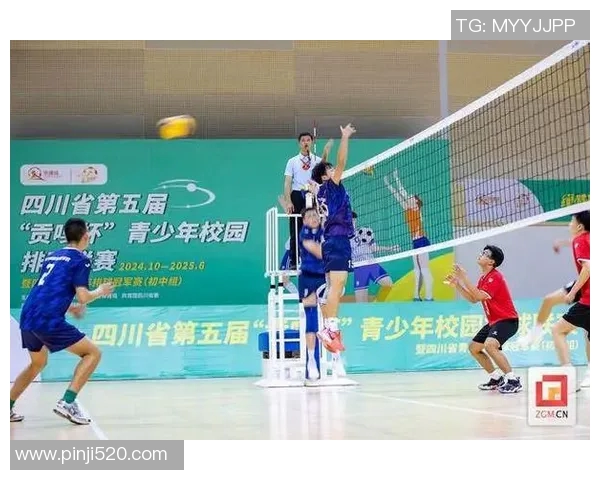 成都排球队心理素质创新高引发关注排球运动新风潮正在兴起