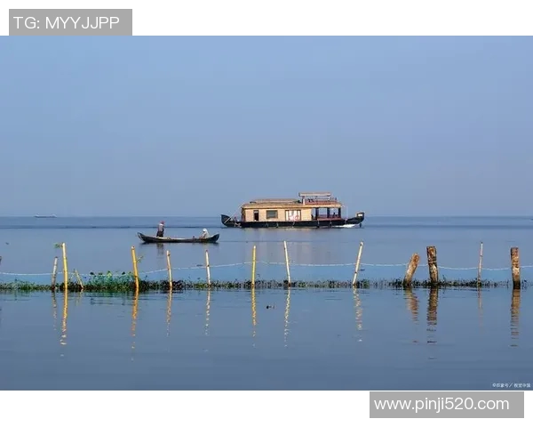 婆罗洲与帕森拉的生态对比与文化交融探讨