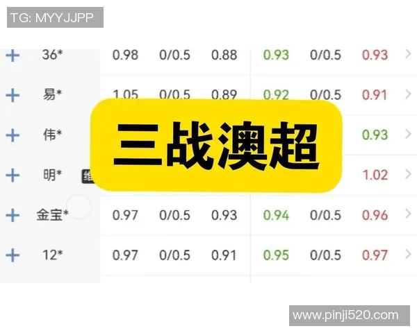 悉尼FC与墨尔本胜利的精彩对决分析及战术探讨